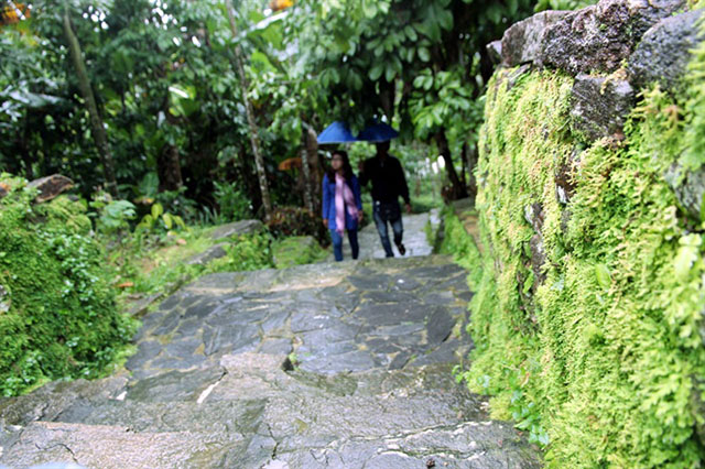 lac-vao-xu-tien-canh-noi-lang-co-loc-yen-quang-nam